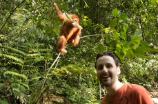 me and a orangutan